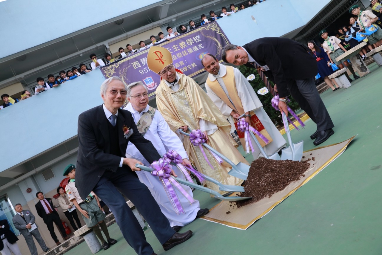 https://www.sts.edu.hk/sites/default/files/images/95year/image/95year_tree_001.jpg