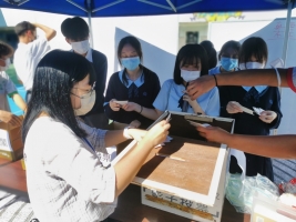 Enlarge 學生會幹事們協助點票程序